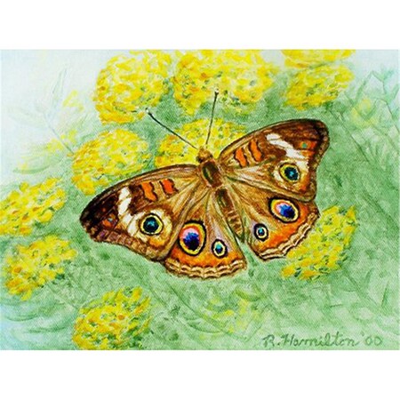 Betsy Drake Buckeye Butterfly Doormat 18 x 26 DM763